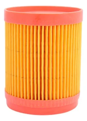 Filtro De Ar Cg Titan 150